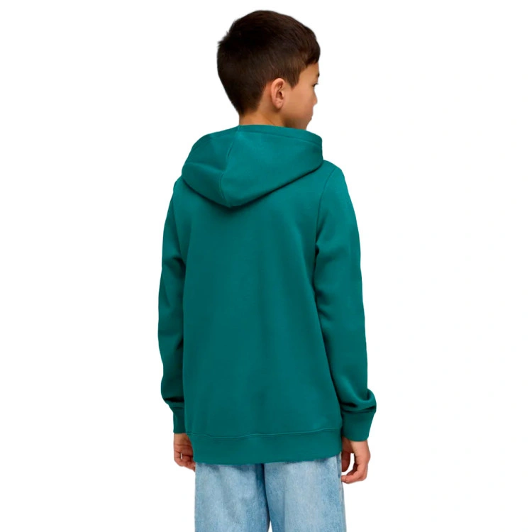sudadera-puma-essentials-graphics-nino-emerald-ice-1