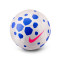 Ballon Nike Pitch 2025-2026