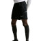 Short Nike Academy 25