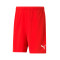 Short Puma teamRISE CE MANRESA