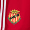 Short adidas Gimnàstic de Tarragona Training Jugadores 2025-2026
