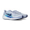 Chaussures Nike Air Zoom Pegasus 41