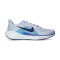 Chaussures Nike Air Zoom Pegasus 41