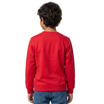 Sweat-shirt Enfant Customizable Algodón Park 26