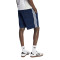 Short adidas Firebird