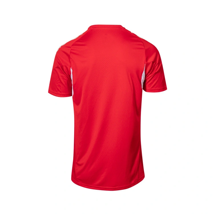 camiseta-adidas-sevilla-fc-training-2025-2026-red-2