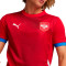 Maillot Puma Serbia Home Jersey Replica