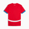 Maillot Puma Serbia Home Jersey Replica
