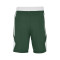 Short Jordan Team 25