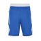Short Jordan Team 25