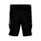 Short Jordan Team 25