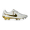 Chaussure de football Nike Tiempo Legend FG SE