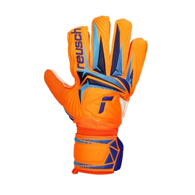 Gants Attrakt Solid