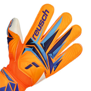 REVERS-2