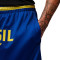 Short Nike Brazil Fanswear Mundial 2026