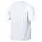 T-Shirt Nike Park VIII