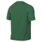 Maillot Nike Park VIII