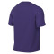 Maillot Nike Park VIII