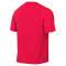Maillot Nike Park VIII