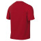 Maillot Nike Park VIII