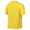 Maillot Nike Park VIII