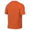 Maillot Nike Enfant Park VIII