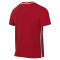 Maillot Nike Park 26