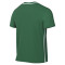 Maillot Nike Enfant Park 26