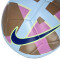 Ballon Nike Futsal Maestro
