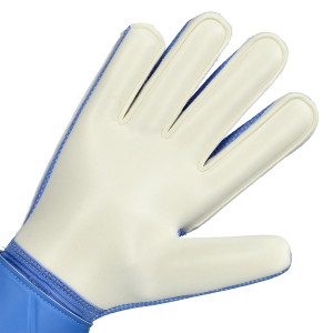 PAUME-1