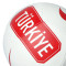 Ballon Nike Mini Turquie Coupe du Monde 2026