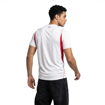 Maillot Turquie Extérieur Coupe du Monde 2026