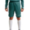 Short Nike Academy 25 Niño