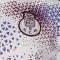 T-Shirt New Balance Fc Porto Pre-Match 2026-2027