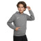 Sweat-shirt Nike Con Capucha Algodón Park 26 Niño