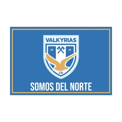 Bandera C.D. Valkyrias Becerril