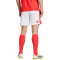 Short adidas SL Benfica Domicile 2026-2027
