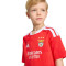 Tenue adidas Enfant SL Benfica Domicile 2026-2027