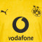 Maillot Puma Bvb Borussia Domicile 2026-2027