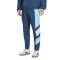 Pantalon adidas Argentine Fanswear Mondial 2026