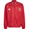 Veste adidas SL Benfica Pre-Match 2026-2027