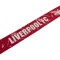 Écharpe adidas Liverpool FC 2026-2027
