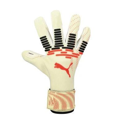 Gants Future Pro