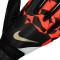 Gants Nike Match