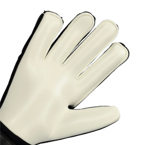 PAUME-1
