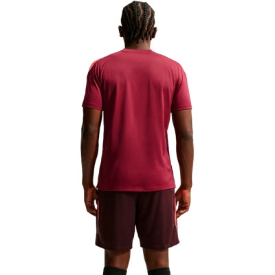 T-Shirt Nike Strike Dri-Fit