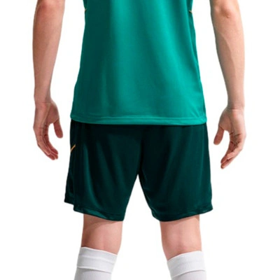 Short Nike Academy 25 Dri-Fit