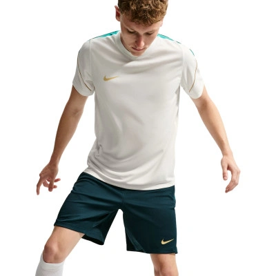 T-Shirt Dri-Fit Strike
