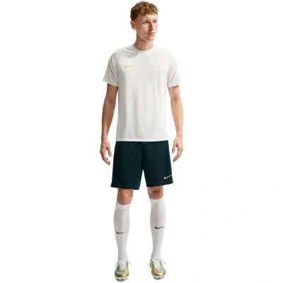 T-Shirt Dri-Fit Strike