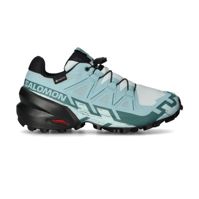 Chaussures Femme Speedcross 6 Gtx